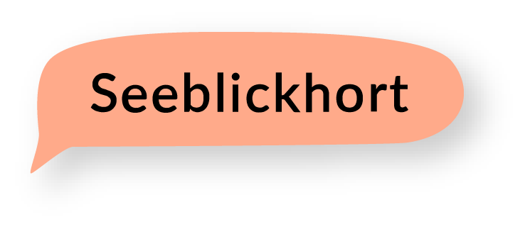 Seeblickhort